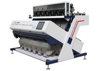 Color Sorter Machine for Pumpkin Seeds ,Shape size sorting integrated into the system